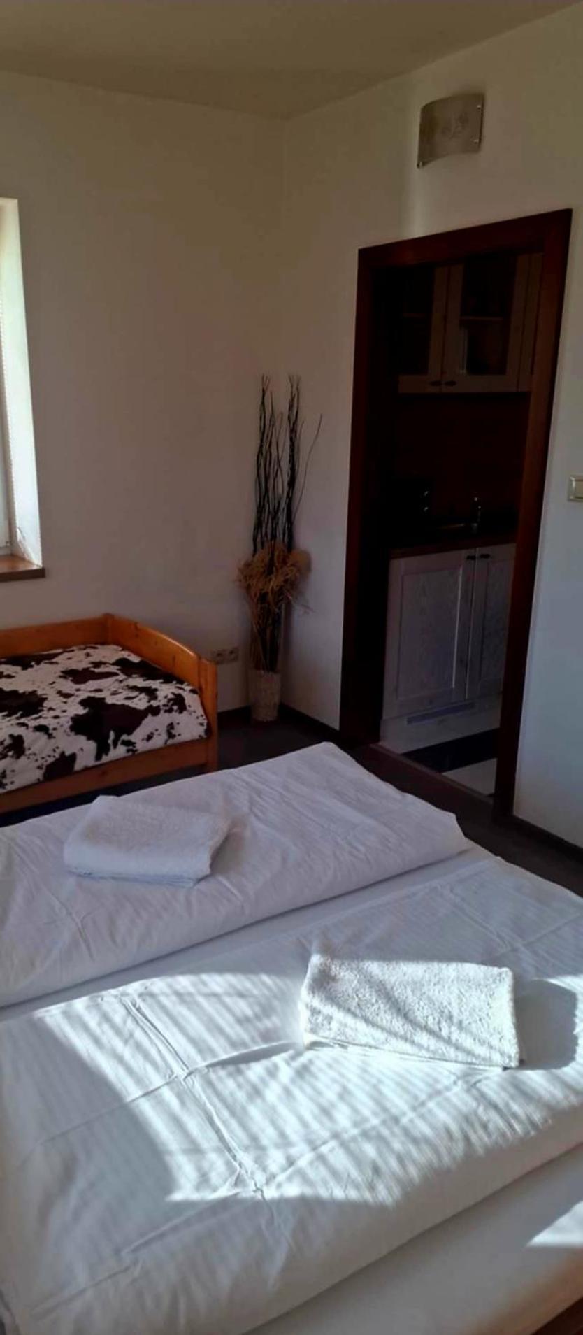 Relax Penzion U Adama Dolná Tižina エクステリア 写真