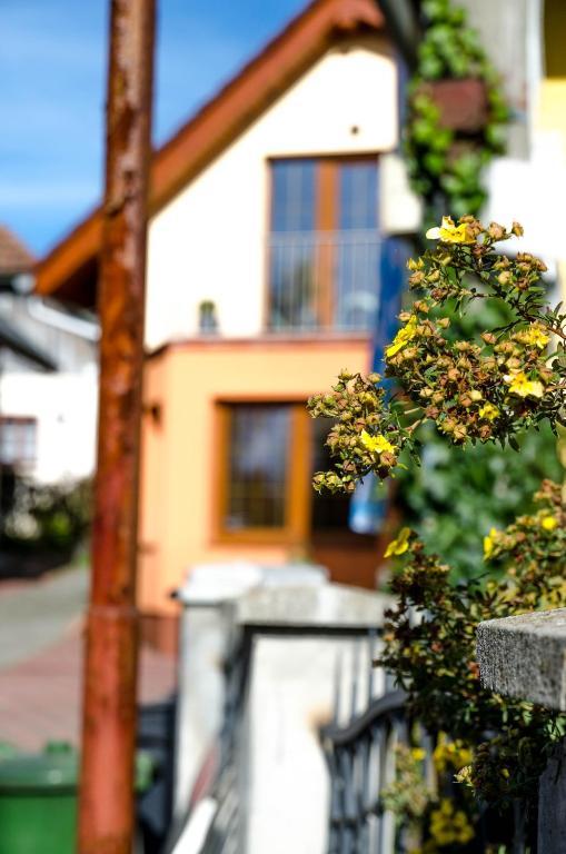 Relax Penzion U Adama Dolná Tižina エクステリア 写真