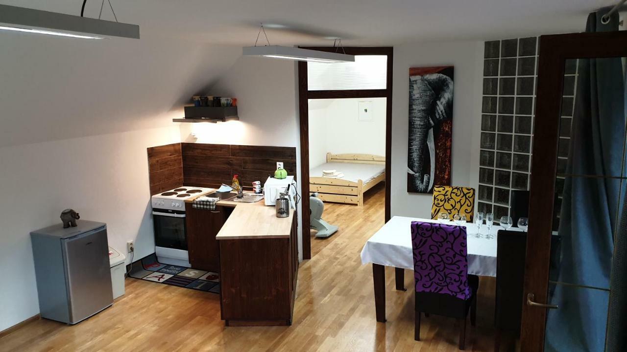 Relax Penzion U Adama Dolná Tižina エクステリア 写真