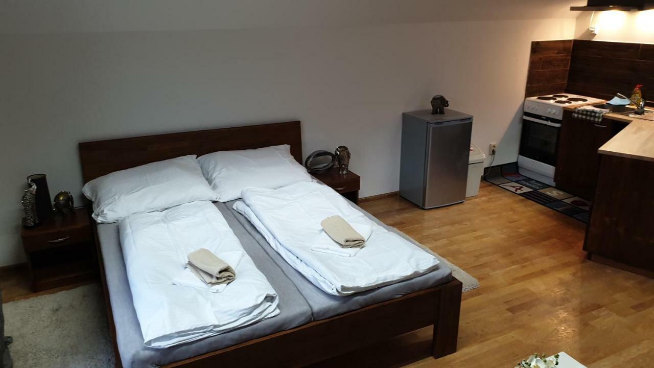 Relax Penzion U Adama Dolná Tižina エクステリア 写真